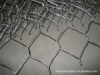 PVC鍍鋅包塑鉛絲籠 價格、廠家與產品深度解析