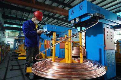 頭雁領航，雁陣齊飛 上海金山“光電傳輸谷”驅動金屬制品產業集群提級增效